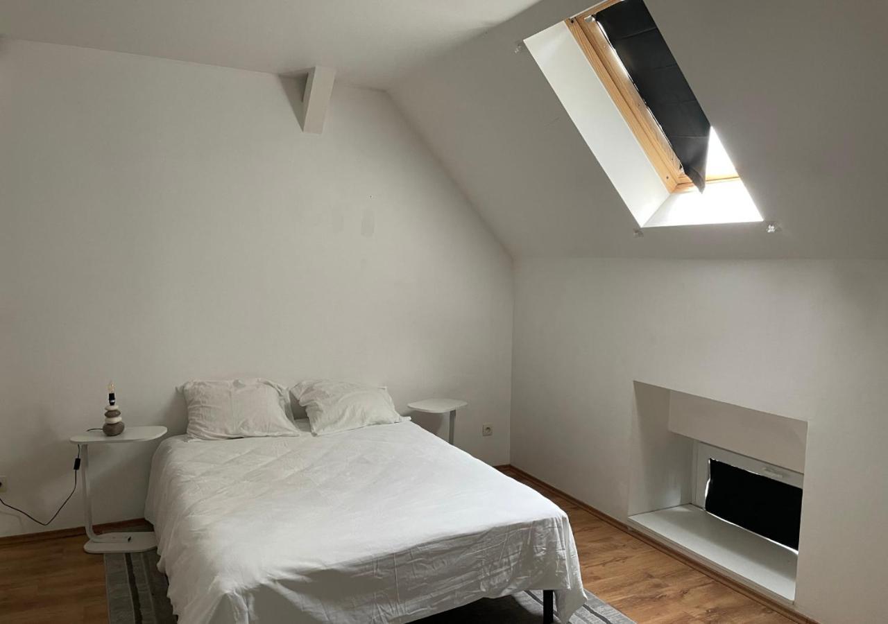 Le Wolf - 1 Chambre Dans Un T3 - 5Mn Tram Du Centre Ville - 15Mn Tram Gare Tgv Mulhouse - Wifi - Parking Екстер'єр фото